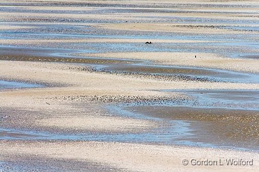 Tidal Flats_37408.jpg - San Antonio BayPhotographed along the Gulf coast at the Aransas National Wildlife Refuge near Austwell, Texas, USA.